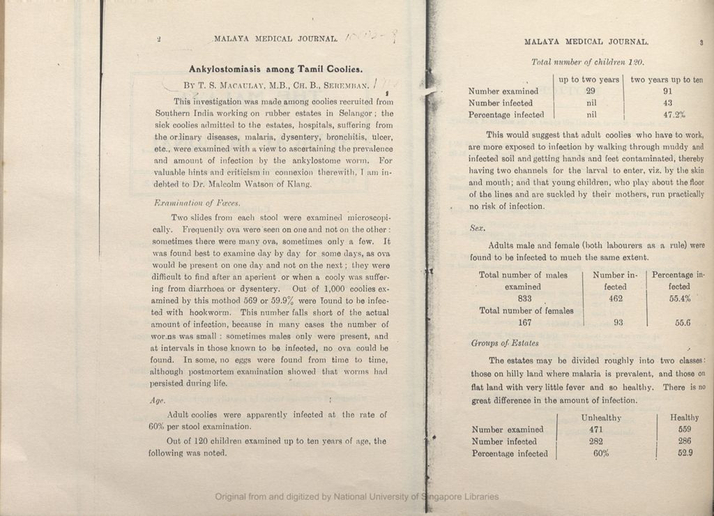 Miniature of Ankylostomiasis among Tamil Coolies