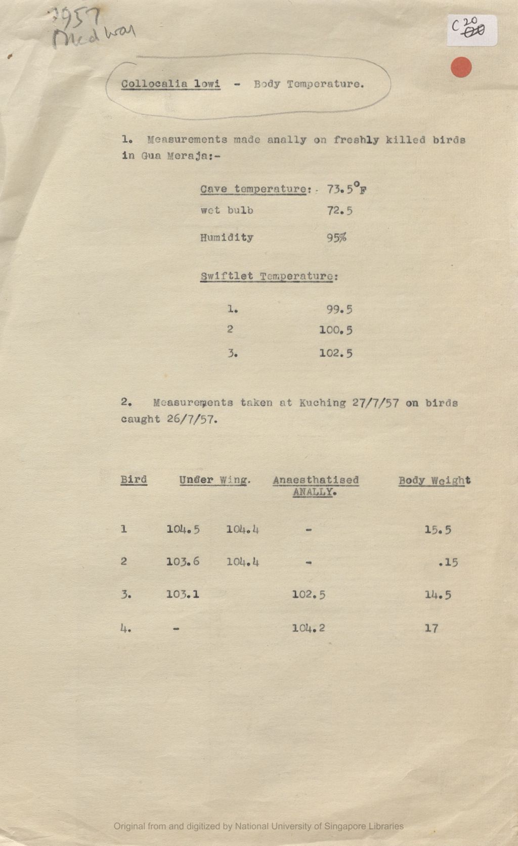 Miniature of Collocalia lowi - body temperature