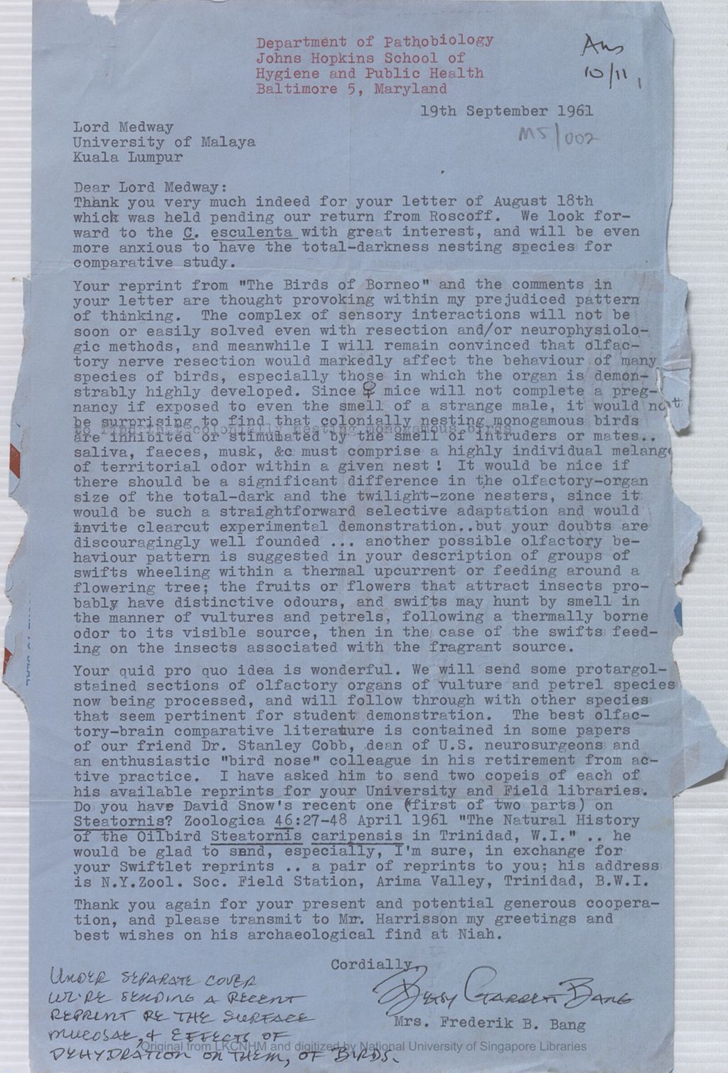 Miniature of Letter from Betsy Garrett Bang to the 5th Earl of Cranbrook concerning possible olfactory behaviour pattern of swiftlets