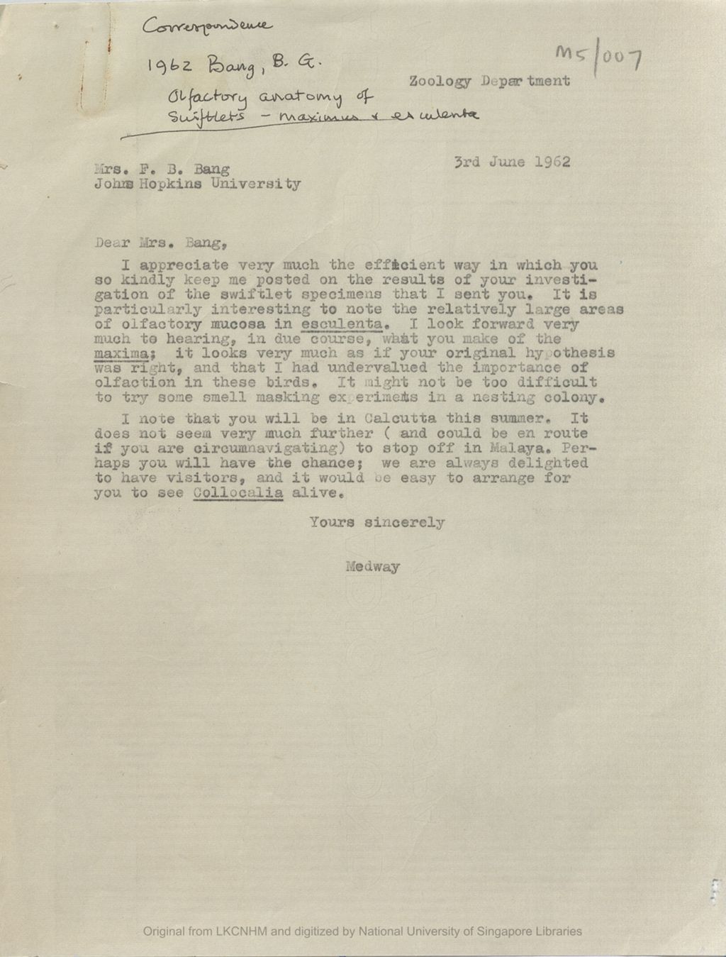 Miniature of Letter from the 5th Earl of Cranbrook to Betsy Garrett Bang commenting on the relatively large areas of olfactory mucosa in esculenta