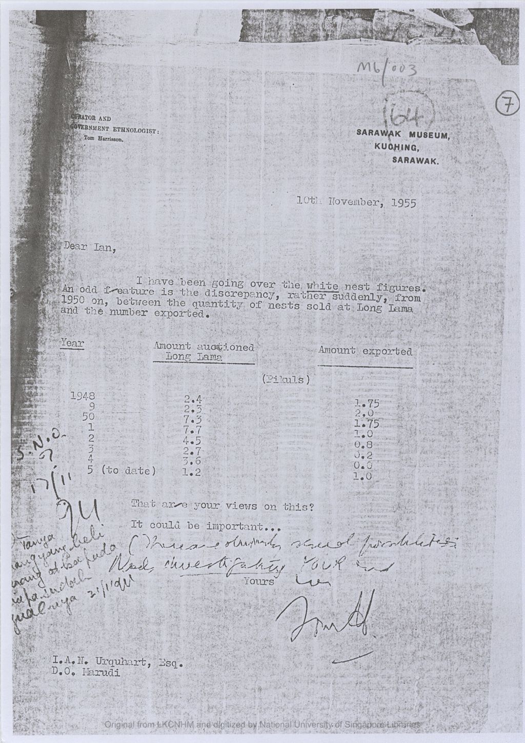 Miniature of Letter from Tom Harrisson, Curator, Sarawak Museum to the Ian Urquhart, District Officer, Marudi, Baram concerning discrepancy in the quantity of white bird nests auctioned at Long Lama and the quantity exported from 1950 to 1955