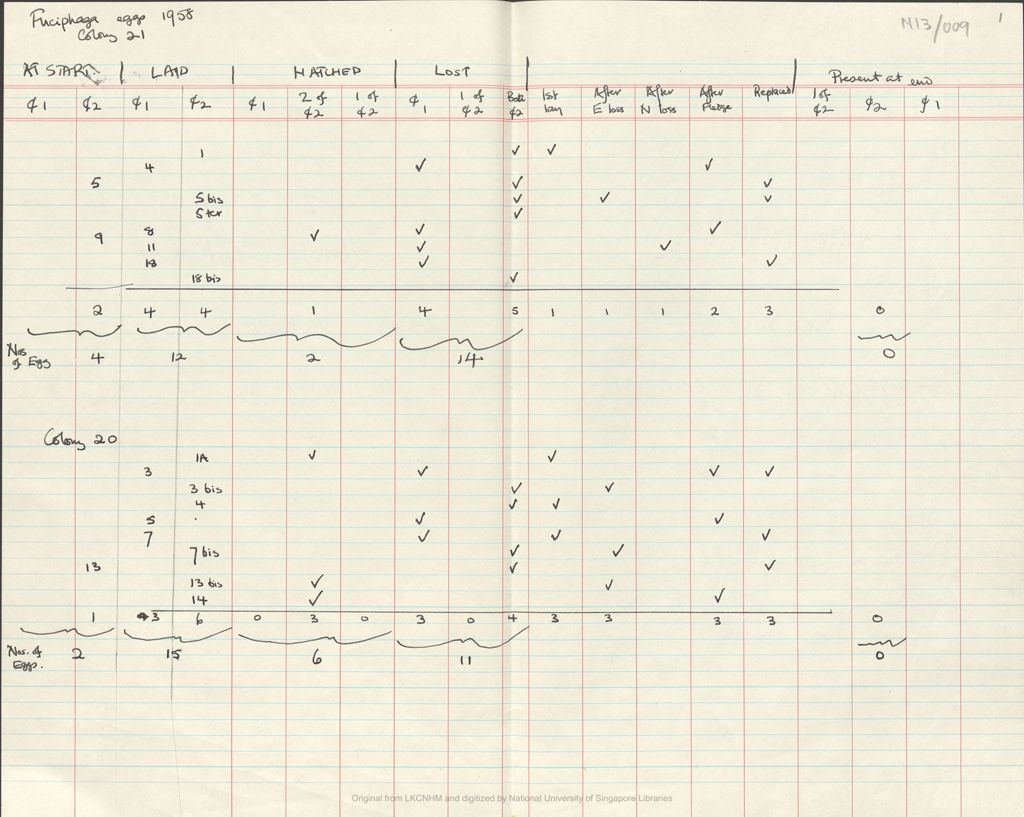 Miniature of Fieldnotes: breeding records at Niah Caves: fuciphaga eggs 1958