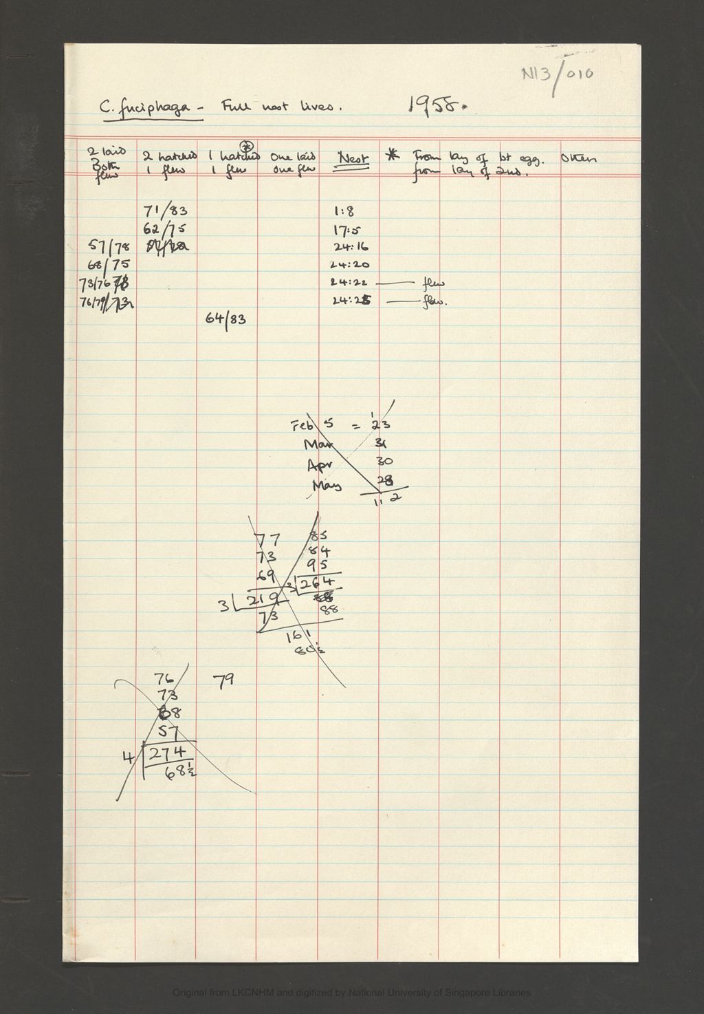 Miniature of Fieldnotes: breeding records at Niah Caves: esculenta 1958: full nest lives