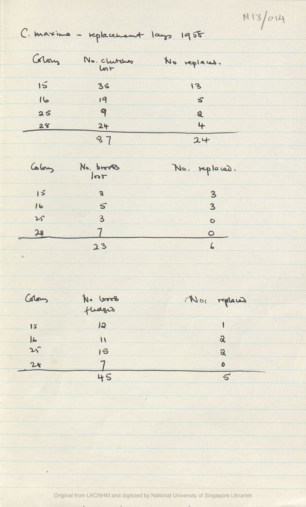 Miniature of Fieldnotes: breeding records at Niah Caves: C. maxima replacement lays 1958