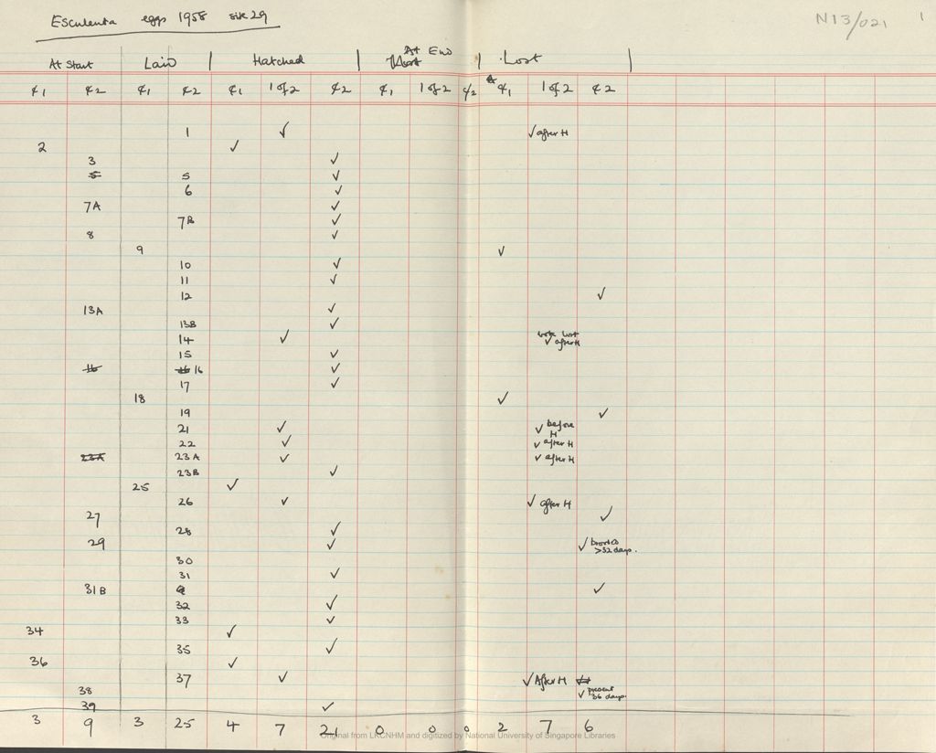 Miniature of Fieldnotes: breeding records at Niah Caves: esculenta eggs 1958: site 29