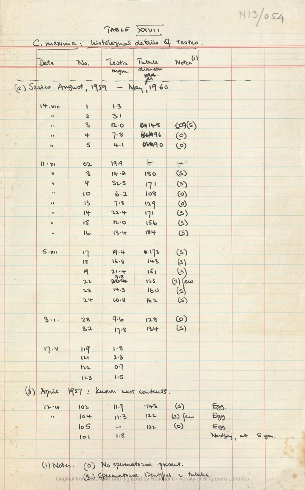 Miniature of Fieldnotes: breeding records at Niah Caves: Table XXVII: C. maxima histological details of testes