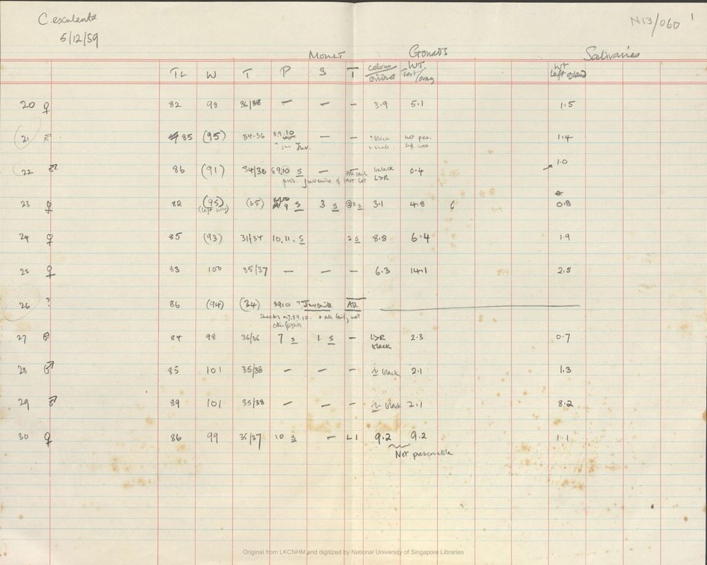 Miniature of Fieldnotes: breeding records at Niah Caves:  C. esculenta: table of moutt, gonads and salivaries