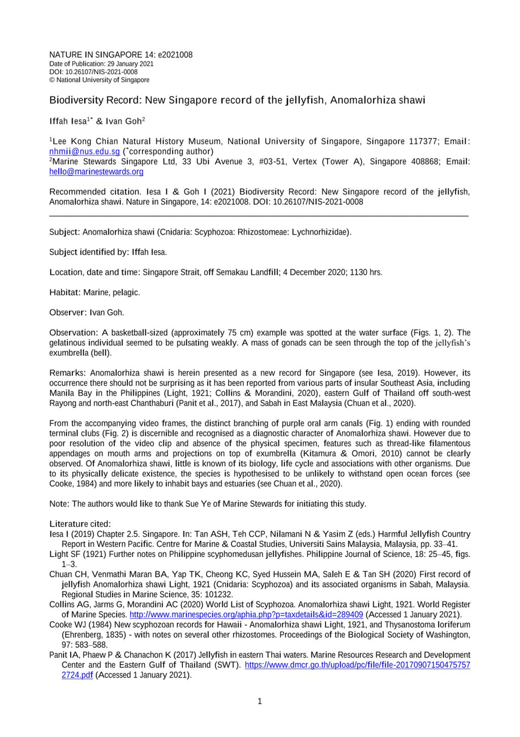 Miniature of Biodiversity record: new Singapore record of the jellyfish, Anomalorhiza shawi