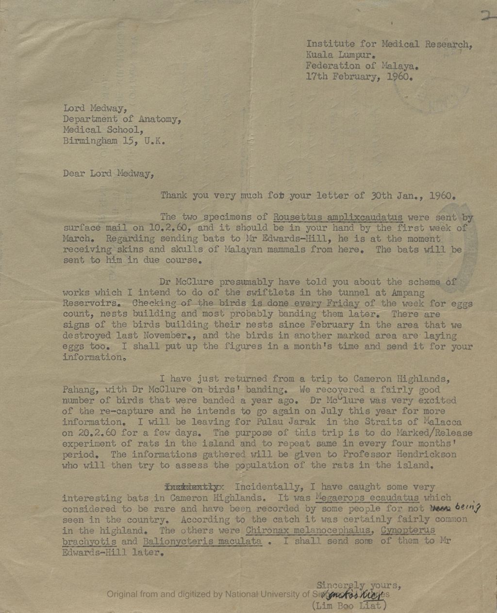 Miniature of Letter from Lim Boo Liat to the 5th Earl of Cranbrook at Dept of Anatomy, Medical School, Birmingham 15, U.K. concerning bats, swiftlets and rats