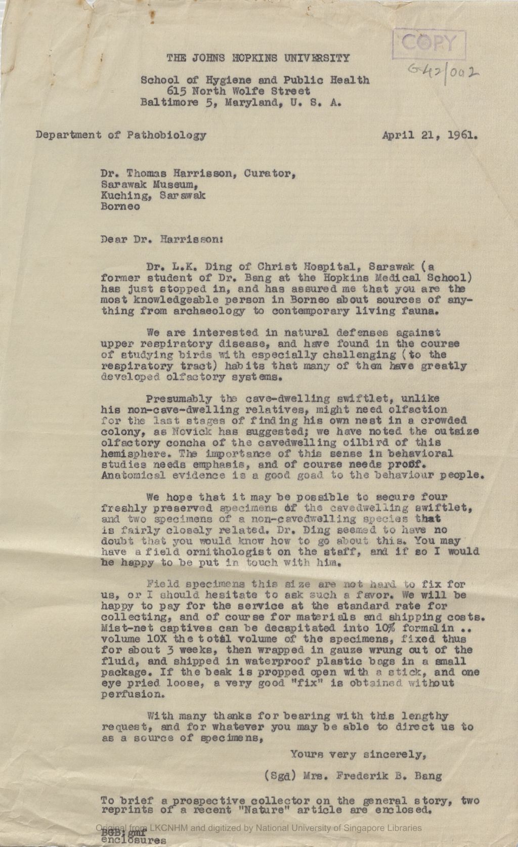 Miniature of Letter from Mrs Frederik B. Bang to Tom Harrisson, Curator of Sarawak Museum requesting for freshly preserved specimens of swiftlets. Enclosed were two reprints of a "Nature" article