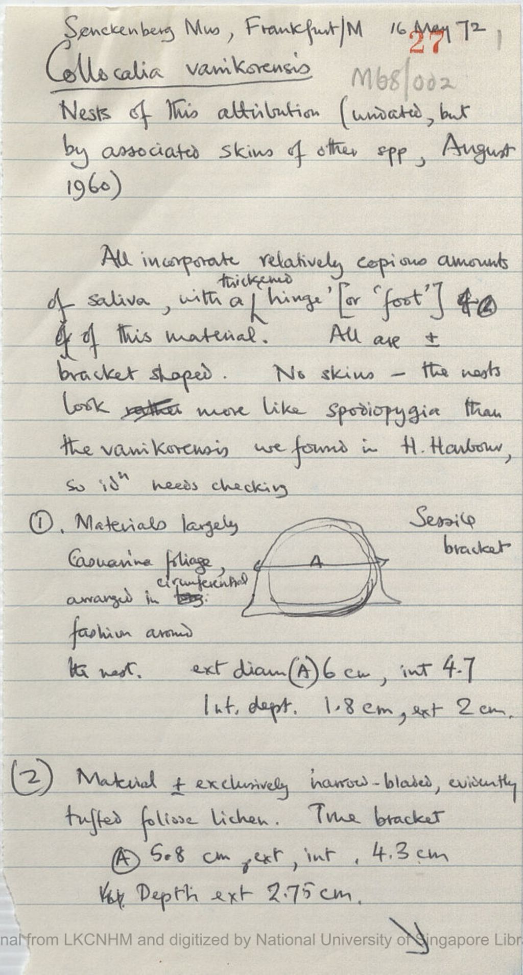 Miniature of Handwritten notes on specimens in Senckenbery Museum