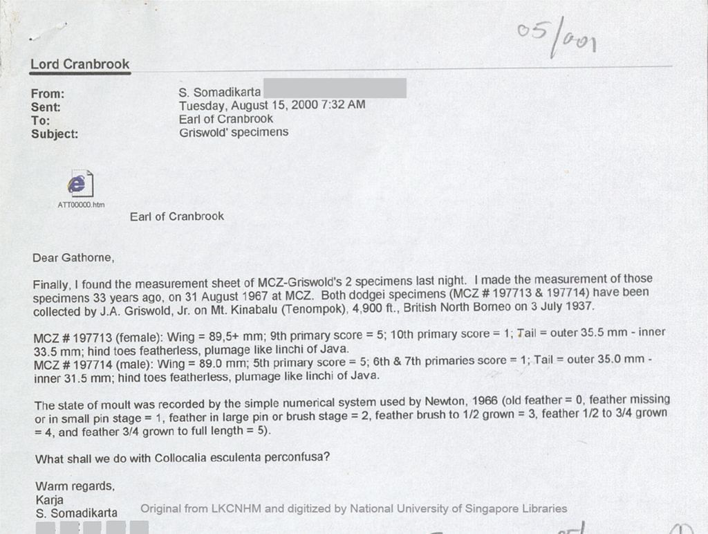 Miniature of Email from Soekarjaoekarja Somadikarta to the 5th Earl of Cranbrook concerning the measurement of MCZ-Griswold's two specimens: MCZ # 197713 and 197714