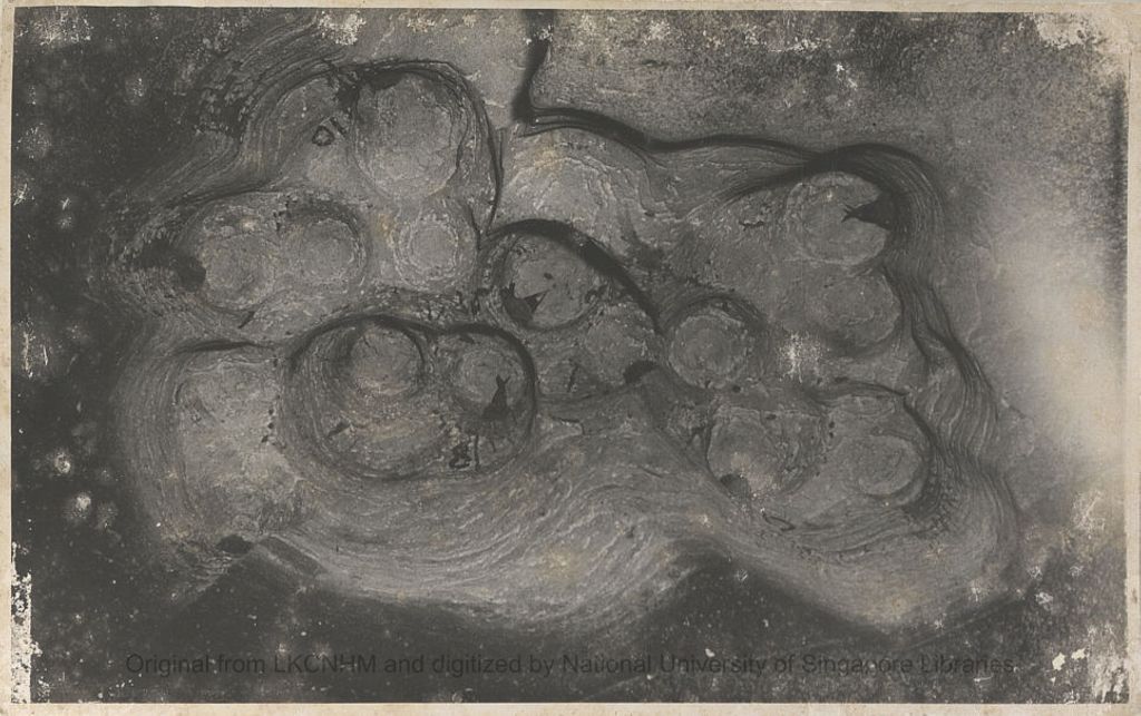 Miniature of Swiftlets and nests in Niah Cave: 57/D: 1: two marked sites (8 and 10)