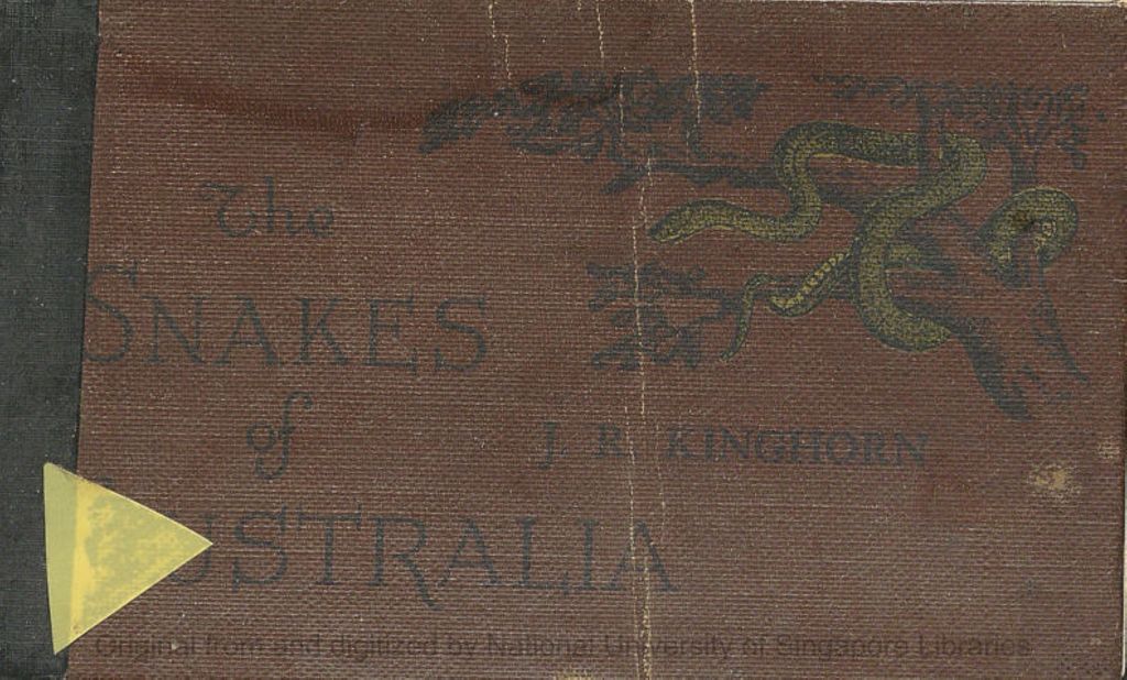 Miniature of Snakes of Australia