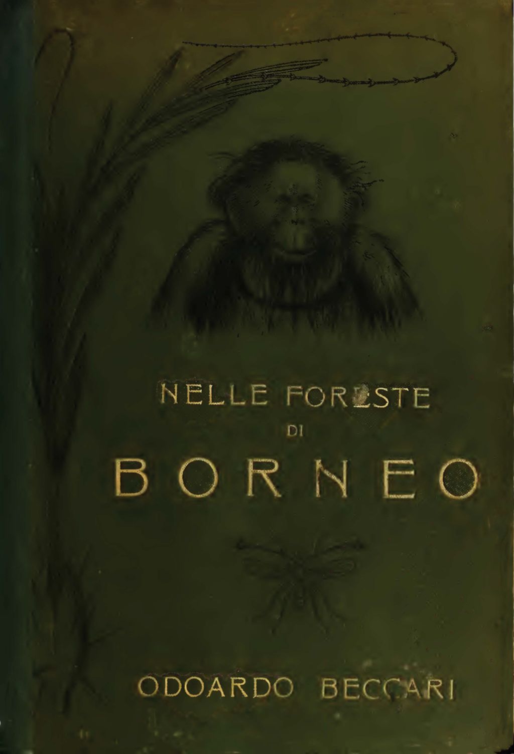 Miniature of Nelle foreste di Borneo: viaggi e ricerche di un naturalista