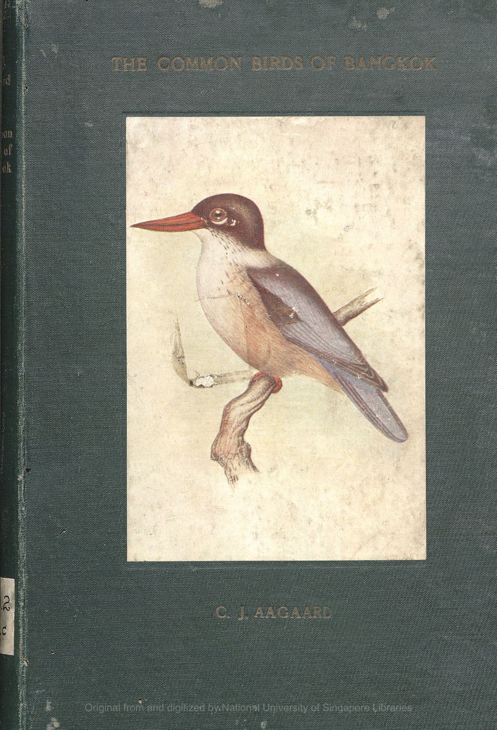 Miniature of The Common Birds of Bangkok