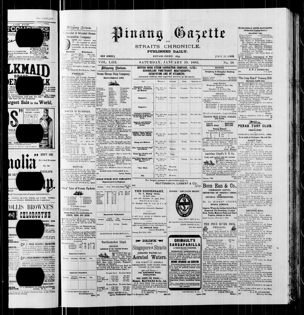 Miniature of Pinang Gazette and Straits Chronicle 19 January 1895