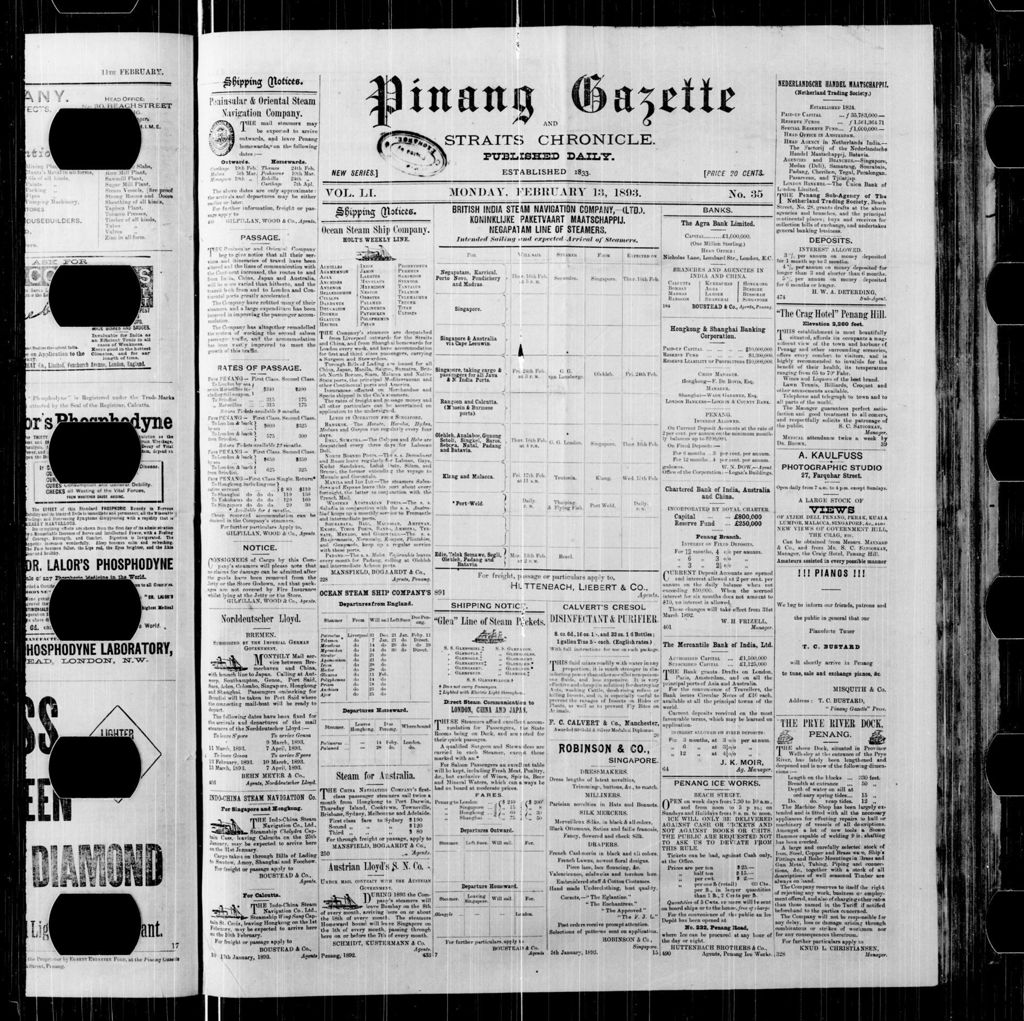 Miniature of Pinang Gazette and Straits Chronicle 13 February 1893