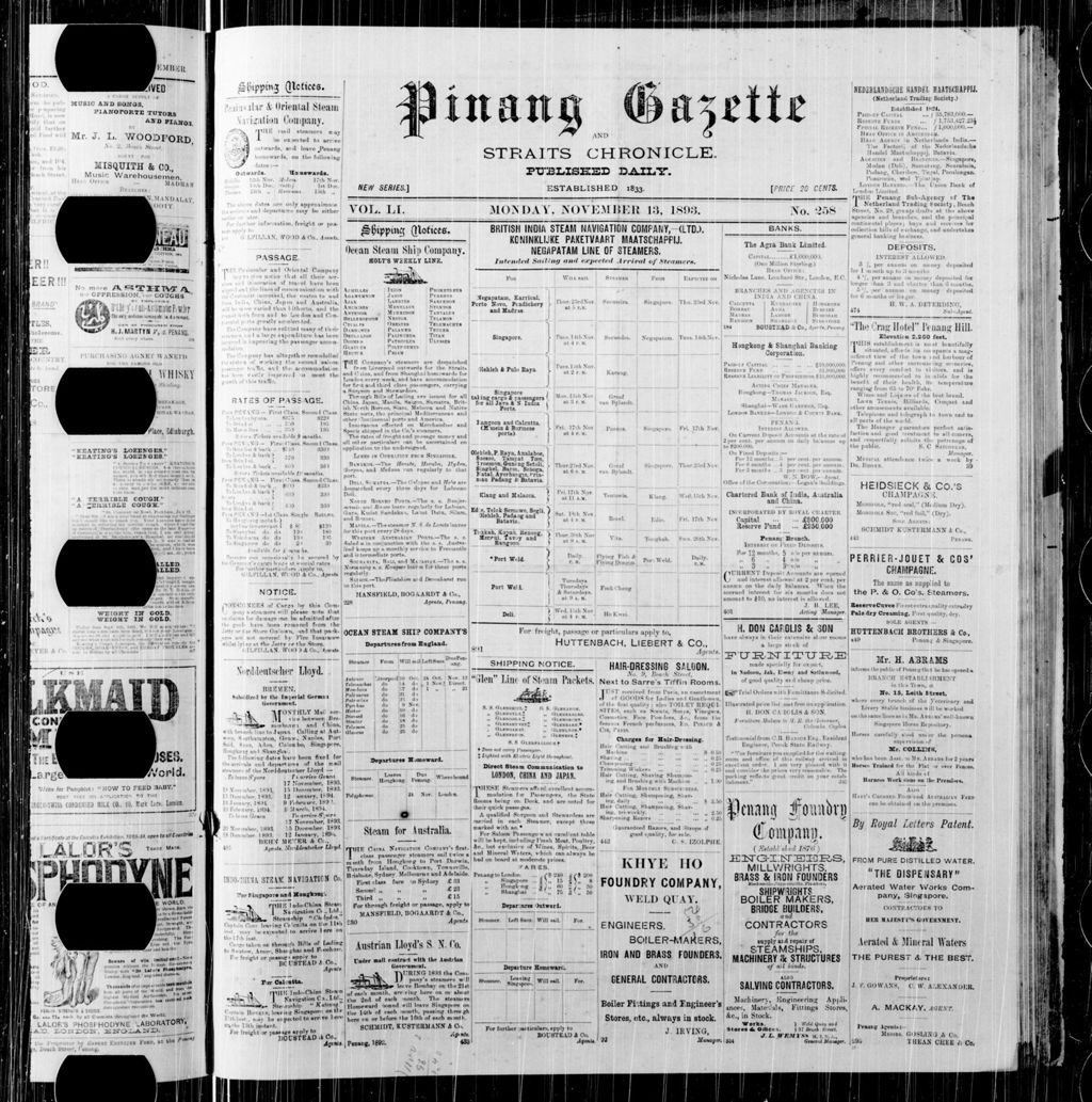 Miniature of Pinang Gazette and Straits Chronicle 13 November 1893